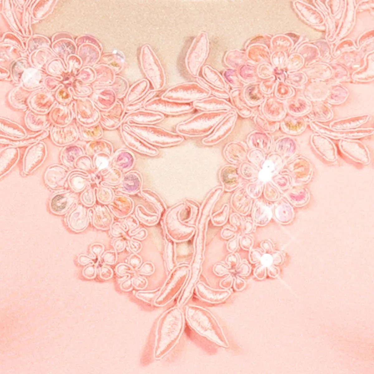 1st Position Floral and Sequin Appliqué Shimmer Net Tutu
